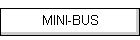MINI-BUS